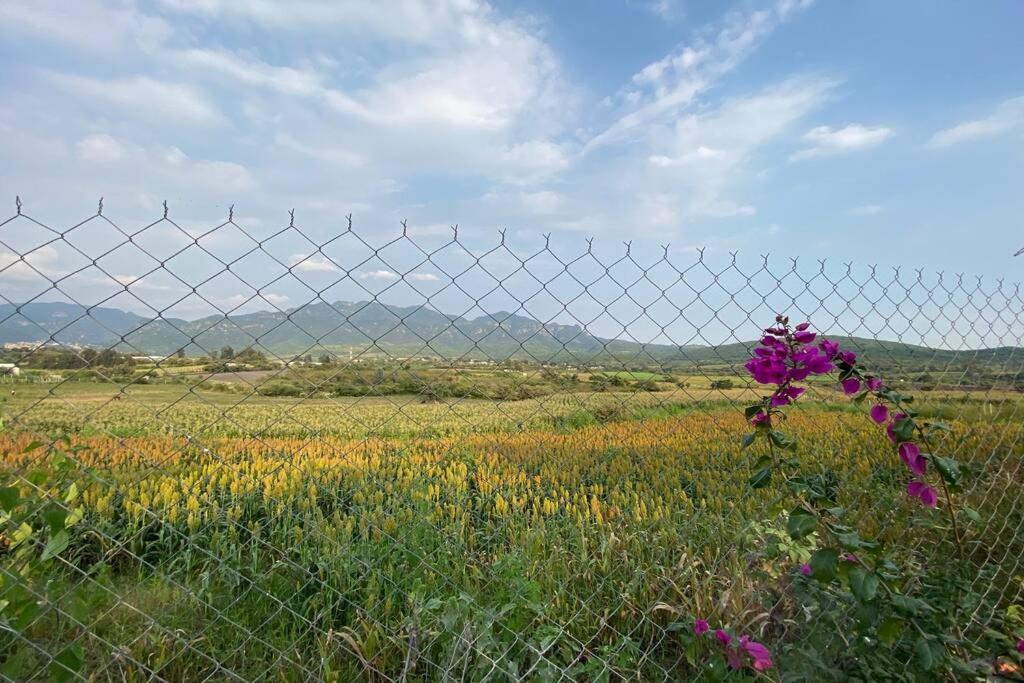 Kali-Mali Casa De Campo Eco-Friendly Malinalco别墅 外观 照片